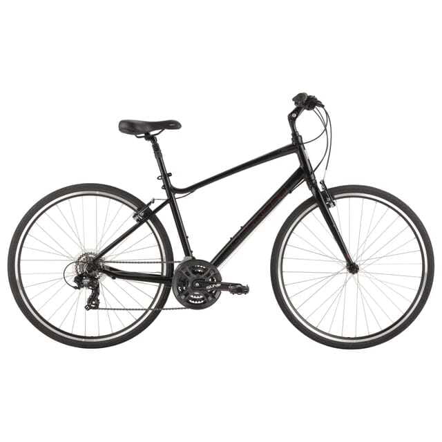 Montreal: All-Day Bicycle Rental - Who should book this Montreal bicycle rental