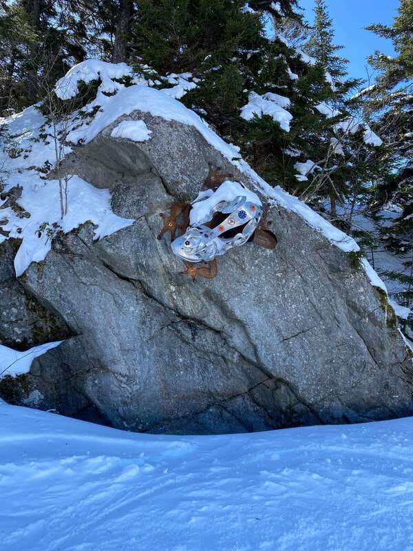 Montreal: Canadian Forest Guided Tour by Snowmobile - Who this snowmobile day is perfect for