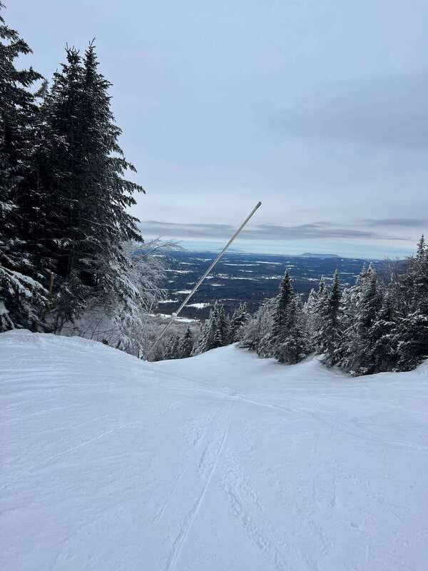 Montreal: Canadian Forest Guided Tour by Snowmobile - Group size and language: your comfort counts