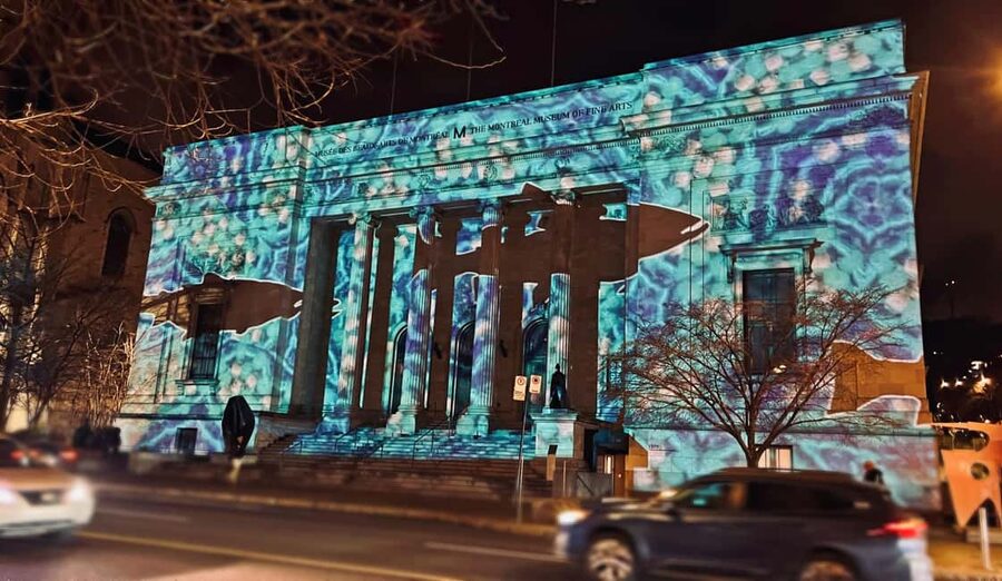 Montreal: Christmas Lights Private Walking Tour - Timing, Walking Comfort, and Photo Reality