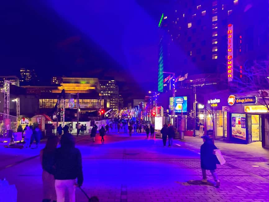 Montreal: Christmas Lights Private Walking Tour - Starting at the MMFA, Then Rue Sherbrooke and Place des Arts