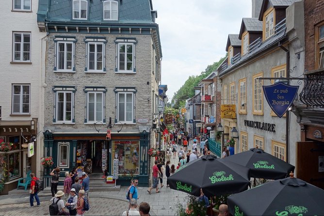 Montreal City Sightseeing Tour with Live Commentary - Old Montreal and Old Port: two 30-minute windows to get oriented