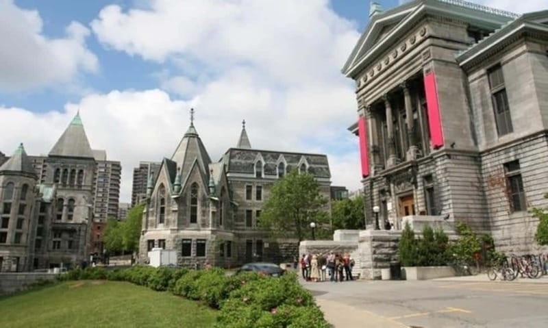 Montreal : Downtown & Underground Walking Tour with a Guide - Guides and language options, plus a tip for Spanish speakers