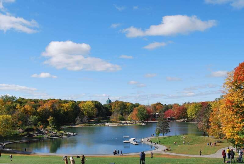 Montreal: Full-Day Small Group City Tour - Riding Montreal like a local route, not a checklist