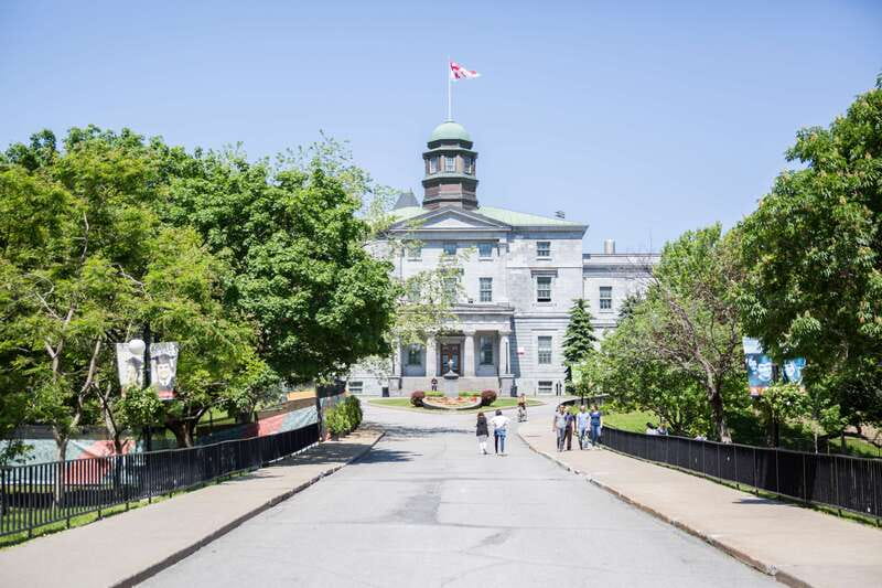 Montreal: Guided Bike Tour of City, Old Port & Plateau - Montreal by bike: why this tour works so well