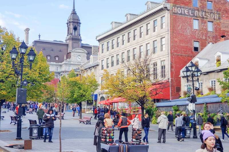 Montreal: Guided Bus Tour - How the Timing Really Works for Photos, Breaks, and Energy