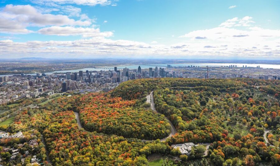 Montreal: Guided Helicopter Tour - Price and Value: Is $167 Worth It for a 20 to 30 Minute Flight?