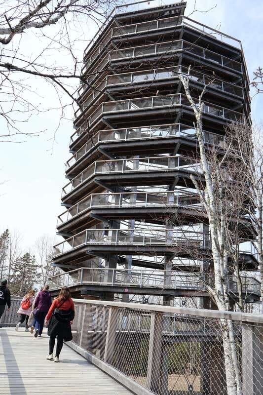 Montreal: Guided tour of the Laurentides Mont Tremblant - Mont-Tremblant summit gondola: where the day’s views begin
