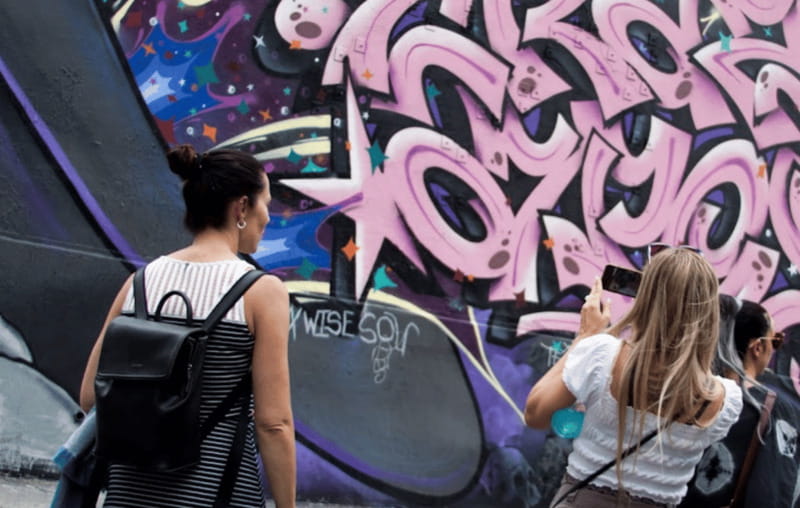 Montreal: Guided Walking Tour of Montreal's Murals - Who this mural tour is best for