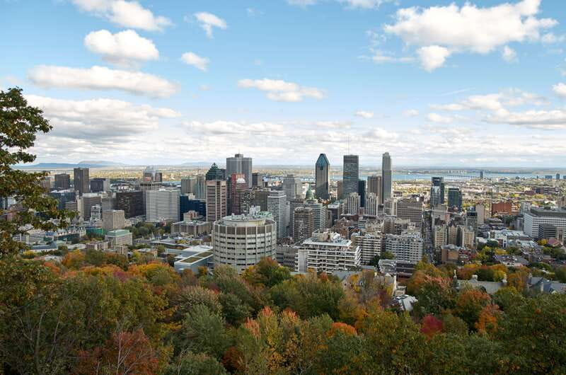 Montreal: Half-Day City Tour - How the tour runs in real life (the part that affects your experience)