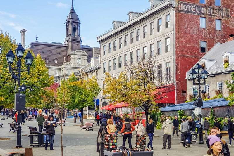 Montreal: Hop-On Hop-Off Double-Decker Bus Tour - Practical Tips That Will Save Your Time