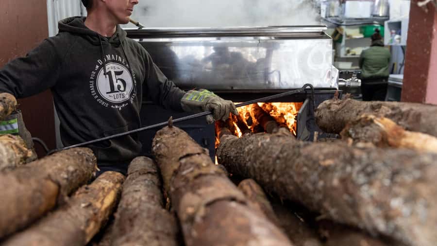 Montréal: Maple Syrup Tasting Conference! - From maple tree to finished products: the harvesting story you get to taste