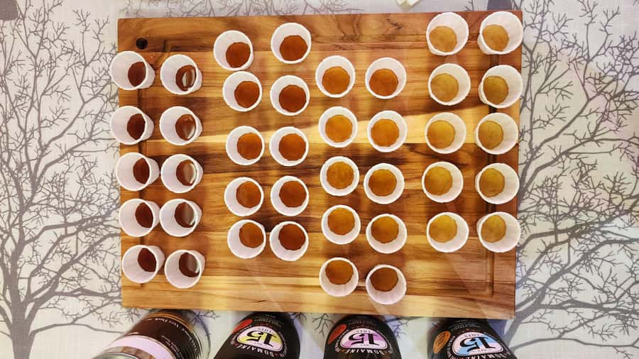 Montréal: Maple Syrup Tasting Conference! - Tasting 10 maple products: how to approach the sampler