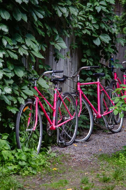 Montreal: Non Touristy Pink Bike Tour - Who Should Book This Tour, and Who Might Skip It