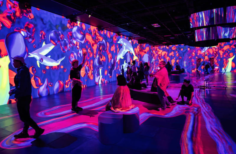 Montreal: OASIS Immersion Entry Ticket - Light Sensitivity and Other Practical Comforts