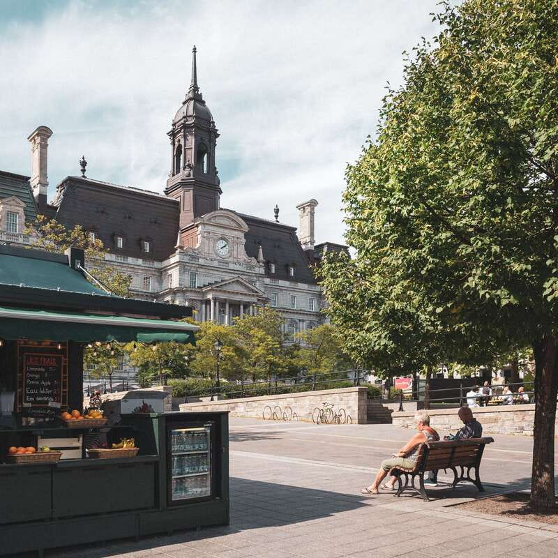 Montreal: Old Montreal Guided Walking Tour - Notre-Dame Basilica: the city’s landmark moment