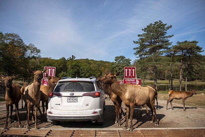 Montreal: Omega Park Canadian Wildlife Safari Adventure - The 4-Hour Safari Portion: Private Vehicle, Special Sounds, and Real Observation