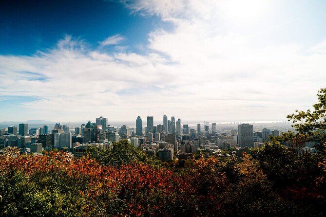 Montreal Premium Driving Tour with River Cruise and Notre Dame - Stop 2: Mont-Royal Drive-By Highlights and the Best Lookout