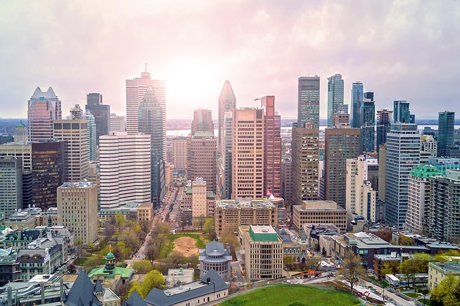 Montreal Premium Driving Tour with River Cruise and Notre Dame - The St. Lawrence River Cruise Switch: Cruise in Season, La Grande Roue Off Season