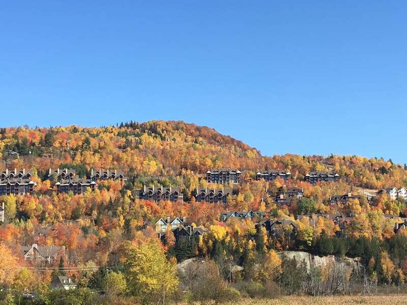 Montreal: Private Day Tour to Mont Tremblant - A private guide that actually changes the day