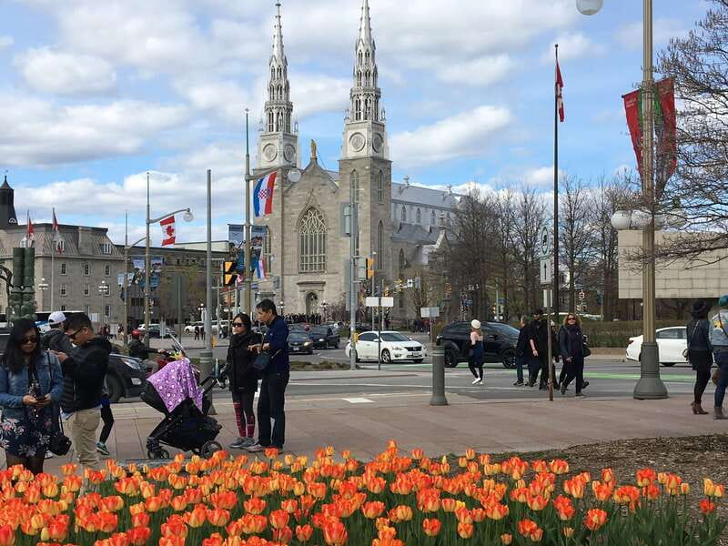 Montreal: Private Day Tour to Ottawa - Key Things I’d Prioritize Before You Go