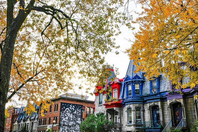 Montreal's Plateau Mont-Royal and Mile End Tour by MTL Detours - Key highlights you will actually care about