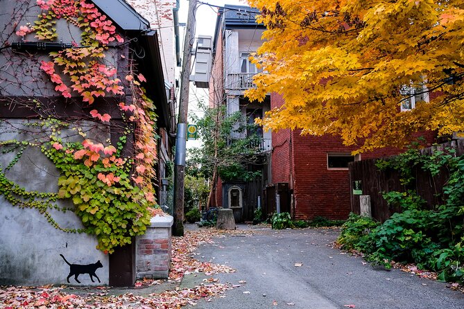 Montreal's Plateau Mont-Royal and Mile End Tour by MTL Detours - The guides drive the experience, and the proof is in the names
