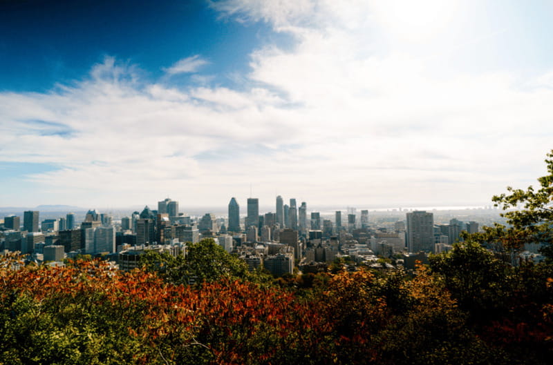 Montreal: Small Group Tour with River Cruise and Notre Dame - Saint Lawrence River Cruise and Port of Montreal Tower Views