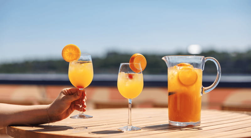 Montréal: Weekend River Brunch Cruise - Guide commentary, terrace time, and comfort tips