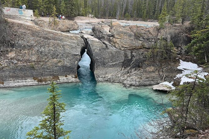 Moraine and Lake Louise with Yoho National Park Private Tour - Pickup, timing, and the practical rhythm of an 8 to 9 hour day