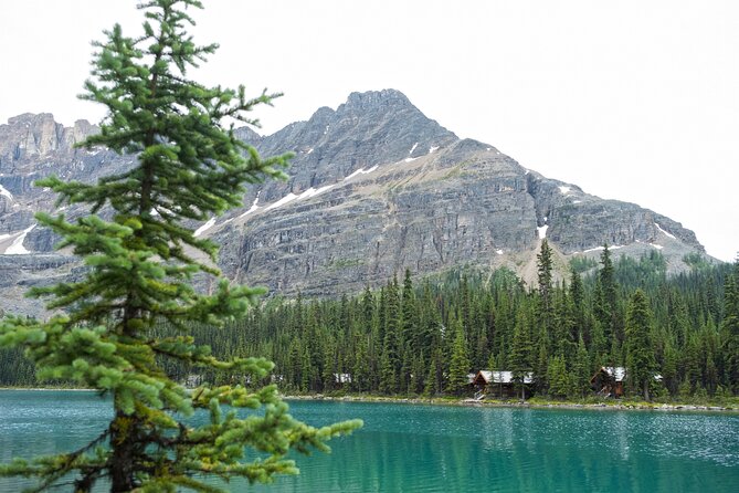 Moraine Lake and Lake Louise Sightseeing Half Day Tour - Small-group pacing, and why guides matter here