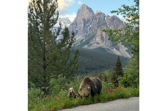 Moraine Lake, Lake Louise Afternoon Tour Half day From Banff - From Banff Pickup To a Small, Comfortable Van Ride