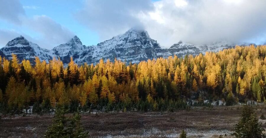 Moraine Lake & Larch Valley Hike - The Route: How the Day Unfolds From Moraine Lake to Sentinel Pass