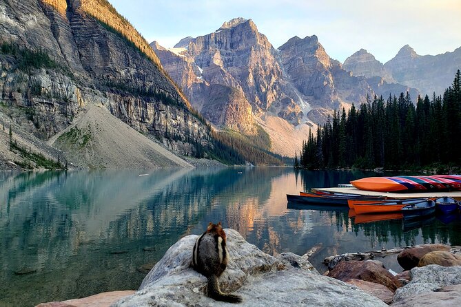 Moraine Lake & Louise - Morning or Sunset Tour from Banff/Canmore - Wildlife Corridor Chances: A Drive That Adds Energy