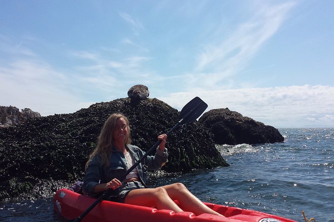 Morning Kayak & Seal Cruise in Vancouver - Key Things I’d Prioritize Before You Go