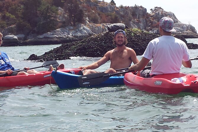 Morning Kayak & Seal Cruise in Vancouver - Kayak or Stand-Up Paddle Board, and the Pace You Control