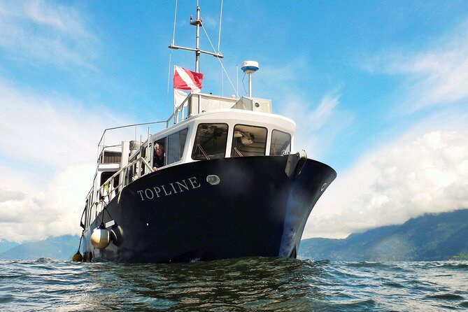 Morning Kayak & Seal Cruise in Vancouver - Views From the Water: Snowy Mountains You See Differently