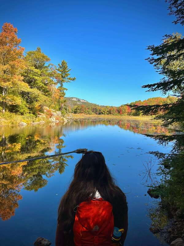 Muskoka: High Falls, Hardy Lake, & Huckleberry Rock Tour - High Falls and Potts Falls: water power up close
