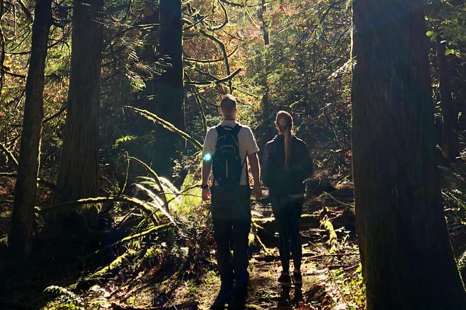 Mystical Rainforest Tour - Forest Magick - Stop 1: Elemental Magick and the start of your guided forest routine