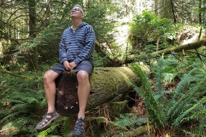 Mystical Rainforest Tour - Forest Magick - Stop 2: Francis King Regional Park and the slow walk that does the work