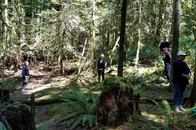 Mystical Rainforest Tour - Forest Magick - The finale: visiting a 650-year-old Douglas fir