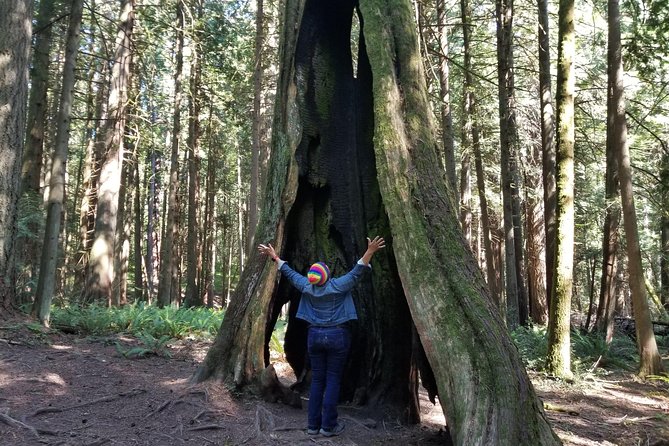 Mystical Rainforest Tour - Forest Magick - Who this tour is best for, and who might want to adjust expectations