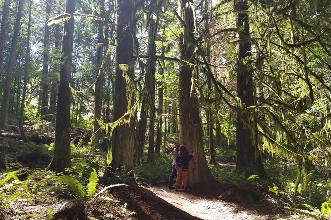 Mystical Rainforest Tour - Forest Magick - Value check: is Forest Magick worth it?