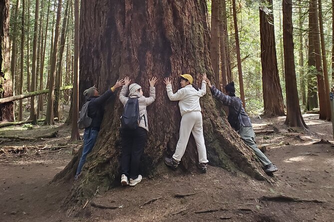Mystical Rainforest Tour - Forest Magick - Your tools: Tibetan singing bowl, mindfulness cues, and guided visualization
