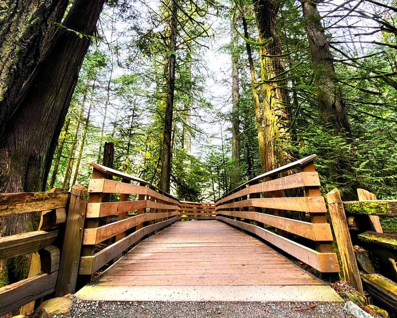 Nanaimo: Cathedral Grove, Waterfalls & Animal Sanctuary - Key highlights you will actually care about