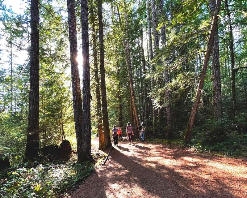 Nanaimo: Cathedral Grove, Waterfalls & Animal Sanctuary - A 7-hour Mid Island hit from Nanaimo