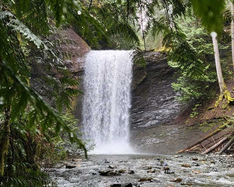 Nanaimo: Cathedral Grove, Waterfalls & Animal Sanctuary - Cathedral Grove’s old-growth giants, plus the Star Wars connection
