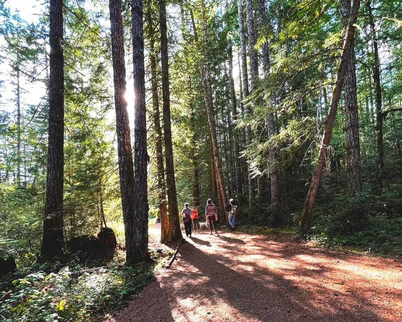 Nanaimo: Cathedral Grove, Waterfalls & Animal Sanctuary - Horne Lake Caves, a challenging underground walk with pro guides