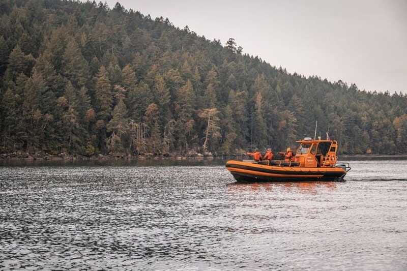 Nanaimo: Whale Watching Open Boat Tour - Price and value: is $182 per person fair for a 4-hour tour?