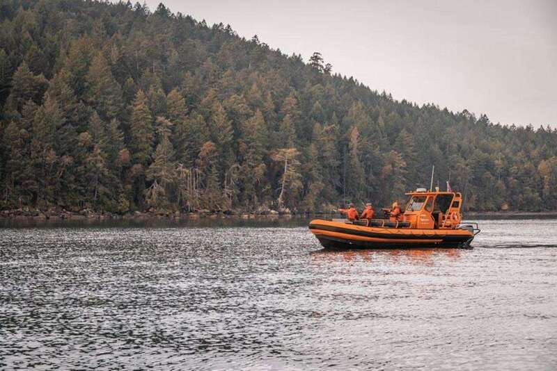 Nanaimo: Whale Watching Open Boat Tour - 90 Front St check-in, then gear up like a pro